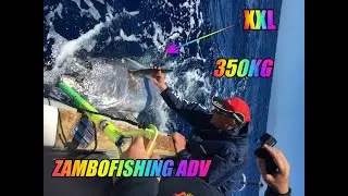 TONNI GIGANTI XXL BLUEFIN TUNA TENERIFE CON ZFA Zambofishing Adventure