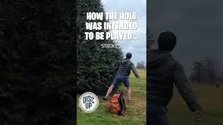Good design or bad design? #discgolf #discgolfcourse
