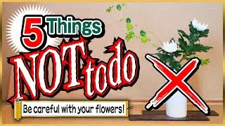 Don't Do This! 5 Things You Should Avoid in Ikebana