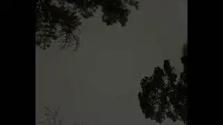 Weather Watch and Whatnot From Where I&rsquo;m At: Thunder In a January Sleet Storm. 26 Degrees 1:06am CST