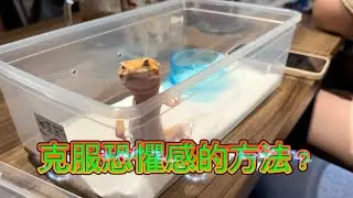 爬蟲動物咖啡館（中）！品果兄弟能克服恐懼感嗎？