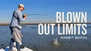 Easy Limits of Reds: Finding Temperature Gradients When Cold Fronts Drain the Marsh