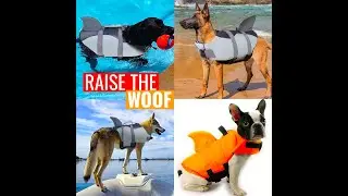 SharkPal Dog Life Vest