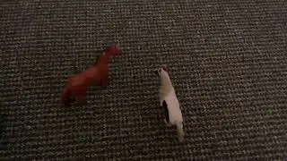 My mini farm #fun amazing video for you 