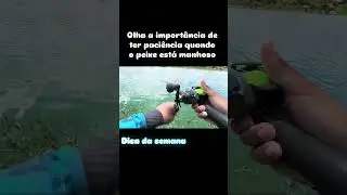 Dica de pesca para pesqueiro tempo certo para dar a figada #shorts