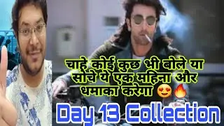 Animal Day 13 Collection | Animal Day 13 Prediction | Animal Advance Booking Report Day 13 Worldwide