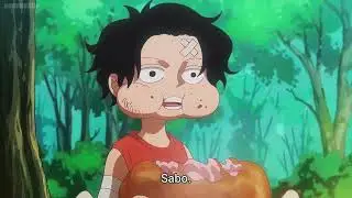 Luffy-Ace-Sabo(Will of D) |One Piece 1119 | English Sub | Latest Episode