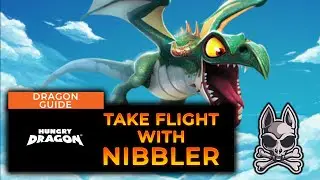 SMALL BUT SPICY NIBBLER!! Getting Started Guide, Tips & Tricks || HUNGRY DRAGON