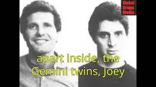 Why did DeMeo break one of the Mafia's oldest rules?