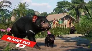 Build a Habitat for Tasmanian Devil  in our Antarctica theme | ep 29 | Planet Zoo | ZwollywoodZz