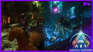 Maybe I can find a Cosmo.. [Solo Aberration]