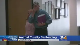 Woman Sentenced To 43 Days In Jail For Animal Cruelty