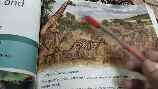 Grade-2,Unit#4 Humans and Animals Grow(Comparing Animals) Learner's book part 2