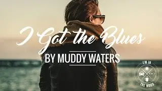 I got the blues by Muddy Waters