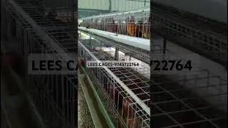 TATA hitech poultry layer cages in Kerala at affordable price #shorts #hitechcage