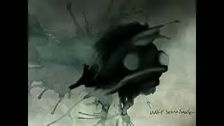 Process - Senna (Vista Lapse)