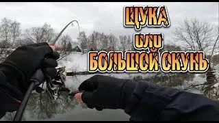 РЫБАЛКА на СПИННИНГ в конце ЗИМЫ/ABU GARCIA REALFINESSE ERFS-51 PRO-FS 1.55m 0.1-2gr