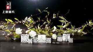 【MV首播】董育君-風中女人花(官方完整版MV) HD