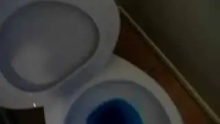 Niagara Flapperless toilet