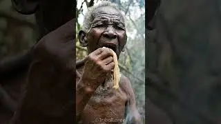 Primitive Fat Eating #shorts