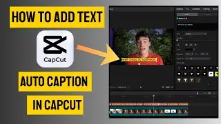 How to Add Text & Auto Caption  in CapCut PC 2026