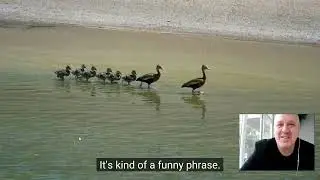 to get your ducks in a row
