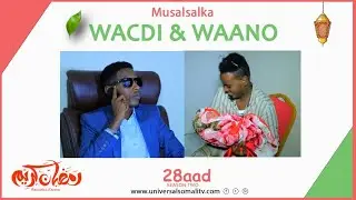 Musalsalka Wacdi & Waano 2021-Q28aad