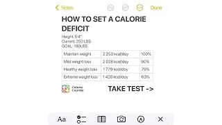 How Many Calories Per Day?