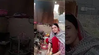 Insha Velogs is live