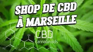 Nouvelle boutique de Cannabidiol &agrave; Marseille