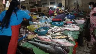 Morning Daily LifeStyle of Vendors Selling Food @Depo Market - Walk Around Phsa Depo in Morning