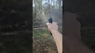 CZ 75BD hammering steel #shorts #sundaygunday