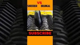 Shredder vs Braingal ||#2022video