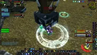 Double mage vs Holy priest Feral