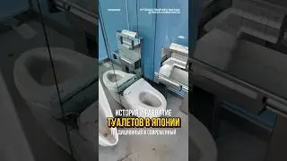История и развитие туалетов в Японии