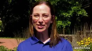 Party It Forward 2021 - With DARTS Board Member Kari Zahn