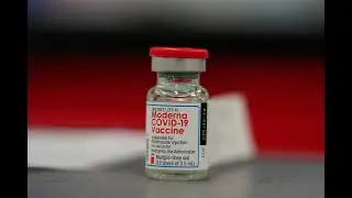 Moderna confident COVID 19 vaccine will work against new strain