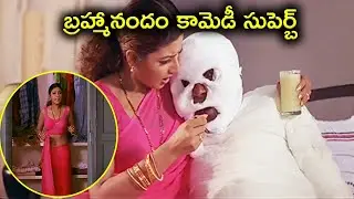 Brahmanandam And Heera Rajagopal Telugu Interesting Movie Scene |Telugu Hits