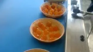 Кондитерский депозитор MULTIFILLER с насадкой 