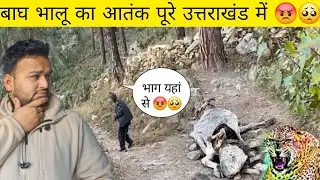 😡🥺 चाचा भी भागने लगे तेंदुआ का आतंक ने पूरे उत्तराखंड को हिला रखा है! Pahadi Lifestyle Vlogs 