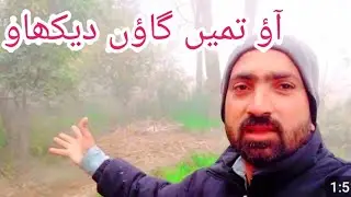 گاؤں کی خاموش فضا اور ہرا بھرا سبزہ | Green Village Nature & Peace/@Village786-y5 