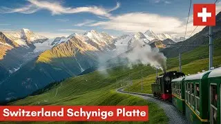 🇨🇭Hiking Schynige Platte: A Unforgettable Swiss Mountain Experience #swissalps #swissbeauty 