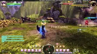 Dragon Nest Mercenary/Hero system :  argenta damage test 1