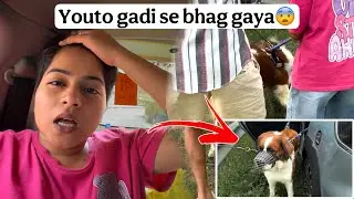 Youto gadi se bhag gaya😨