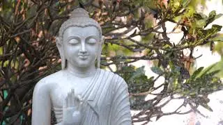 Siddha Wellness Village Film