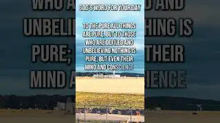 🕊️ Bible Verse Of The Day | Titus 1:15 Purity Distinguishes Hearts Now