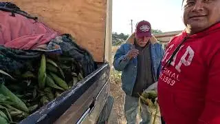 ¡Desde Hidalgo viene a vender porque Xichú es seguro! 