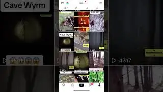 Welcome to my TikTok - OUTOFTHISWORLD!