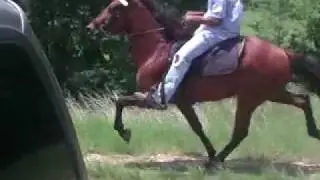 911 singlefooting video 2.MP4