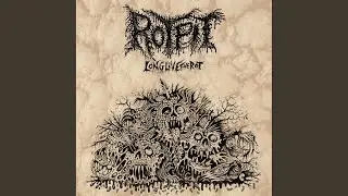 Sewer Rot